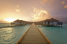 Hoteles - MAAFUSHIVARU MALDIVES